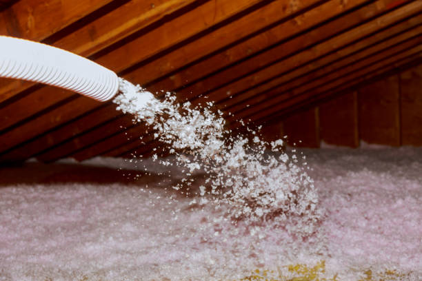 Best Energy-efficient Insulation  in Bethalto, IL