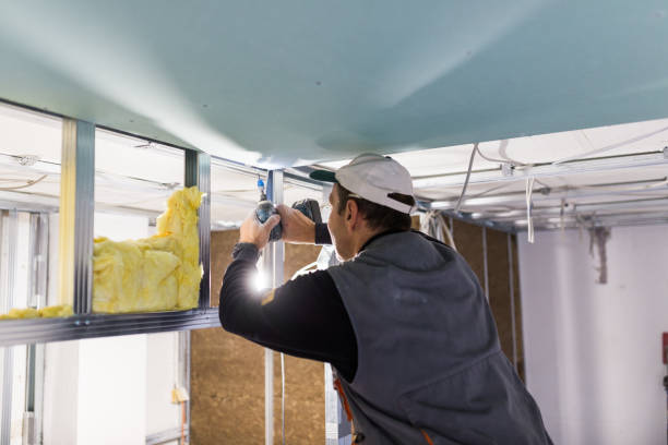 Best Wall Insulation Contractor  in Bethalto, IL