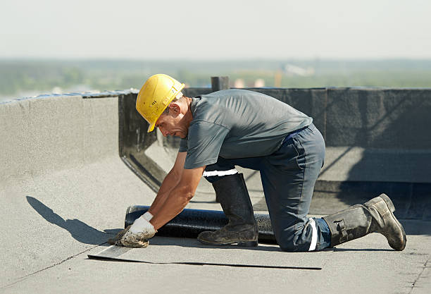 Best Local Insulation Services  in Bethalto, IL