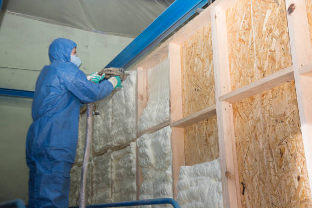 Insulation Replacement Services in Bethalto, IL